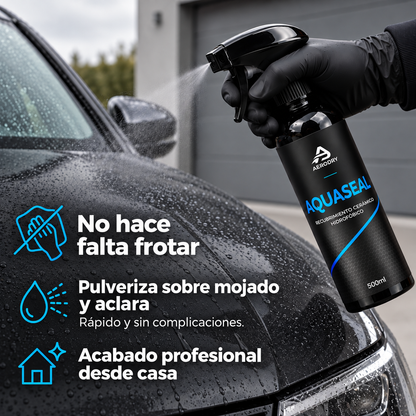 Kit de Limpieza Integral