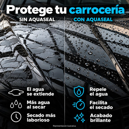 Spray cerámico AquaSeal